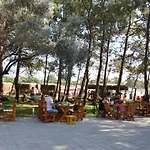 Pine & Bungallows فندق 4*