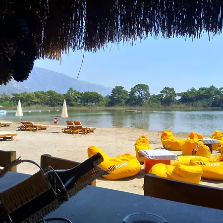 Pine & Bungallows 4*