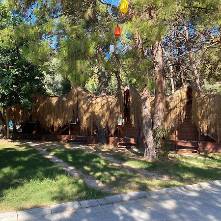 Pine & Bungallows Hotel 4*