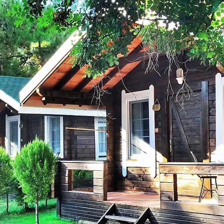 Pine & Bungallows Hotel