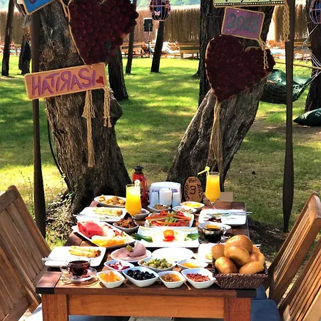 Hotel Pine & Bungallows