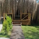 Pine & Bungallows