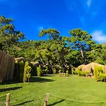Pine & Bungallows Otel
