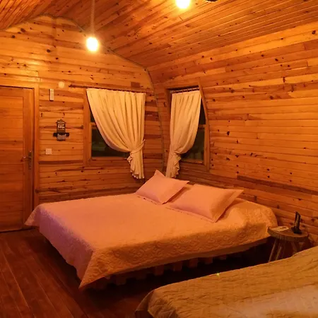 Pine & Bungallows 4*