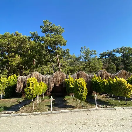 Hotel Pine & Bungallows