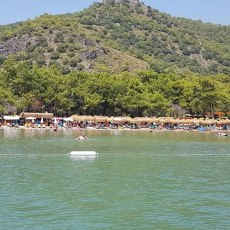 Pine & Bungallows Hotel