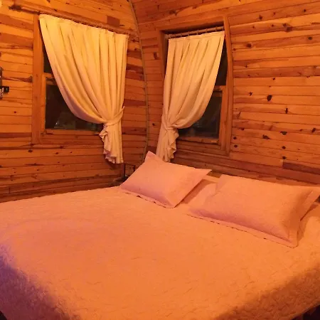 Hotel Pine & Bungallows 4*