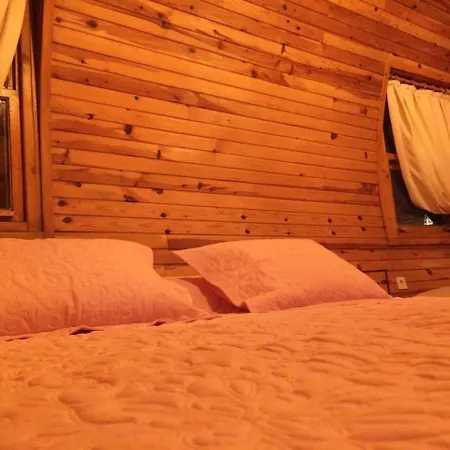 Hotel Pine & Bungallows Hisaronu