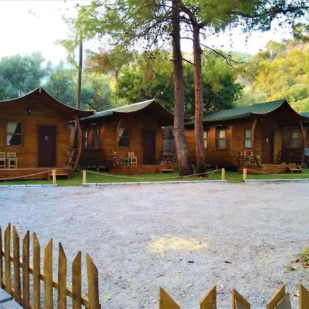 Pine & Bungallows