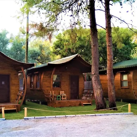 Pine & Bungallows 4*