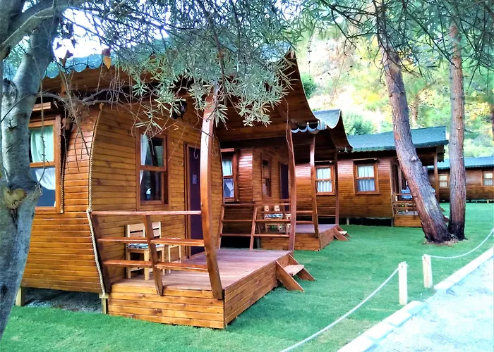 Pine & Bungallows היסרונו