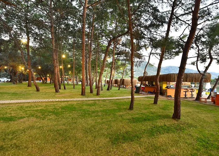 Hotel Pine & Bungallows Hisaronu