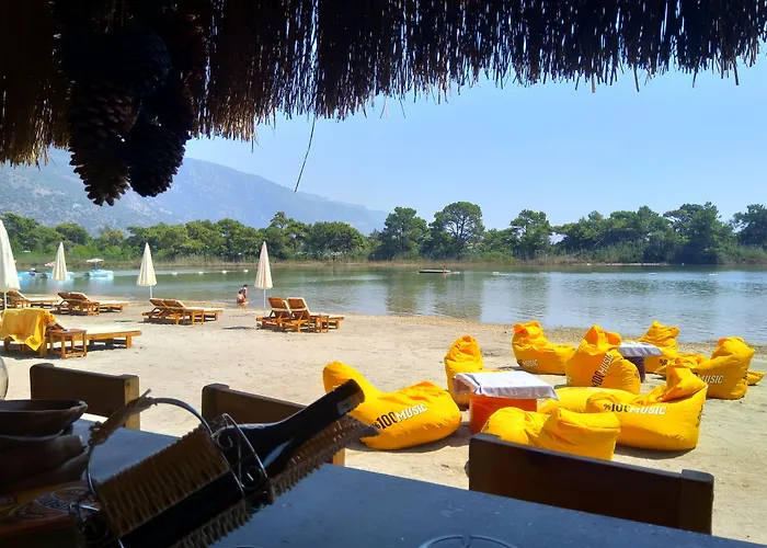 Pine & Bungallows 4*