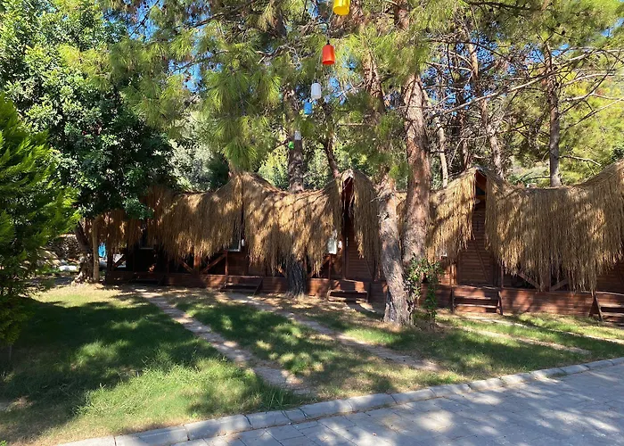 Pine & Bungallows מלון 4*