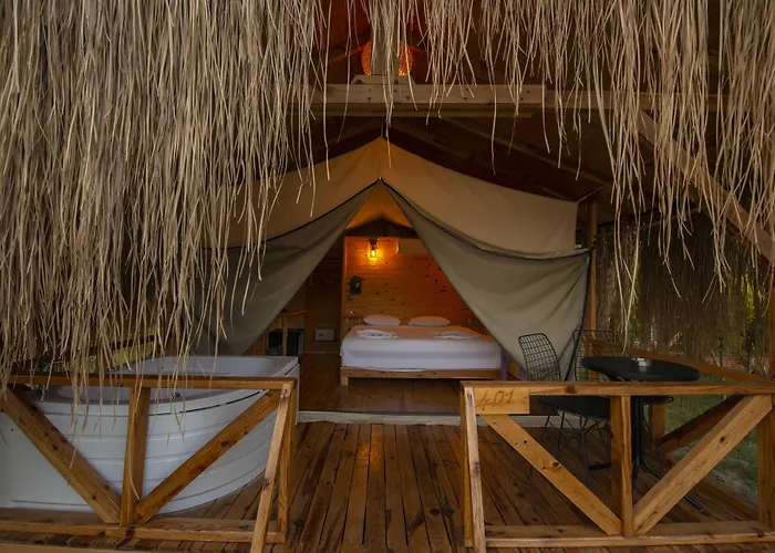 Pine & Bungallows היסרונו