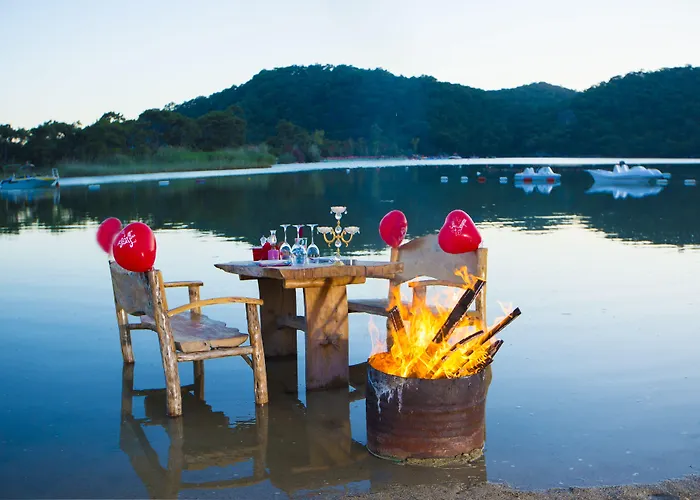 Pine & Bungallows מלון