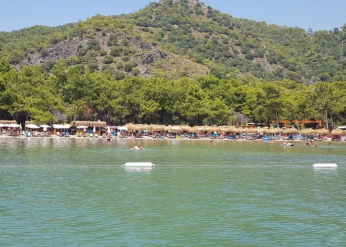 Pine & Bungallows מלון