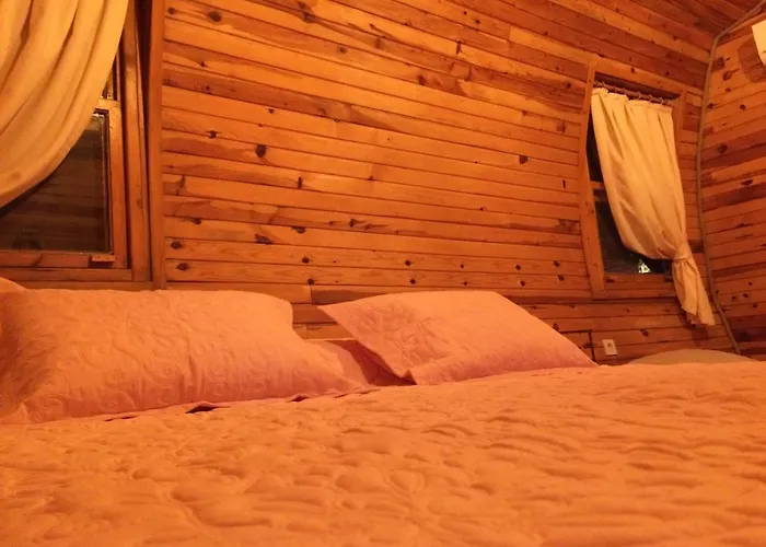 Отель Pine & Bungallows Хисароню