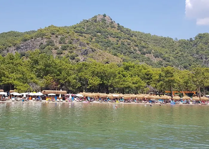 Pine & Bungallows היסרונו