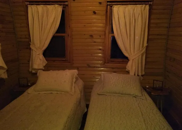 Pine & Bungallows היסרונו