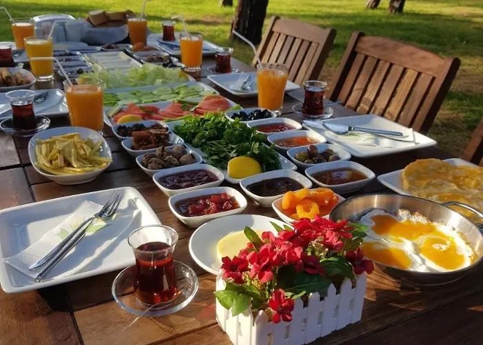 Pine & Bungallows היסרונו