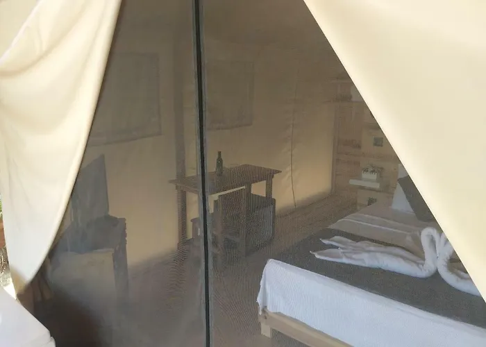 מלון Pine & Bungallows היסרונו