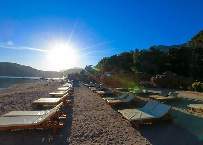 Отель Pine & Bungallows Хисароню